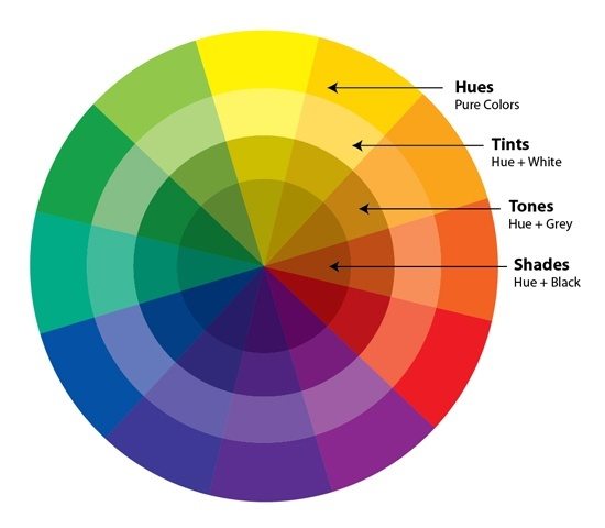 Color Wheel With Hues and Tints in Graphic Design