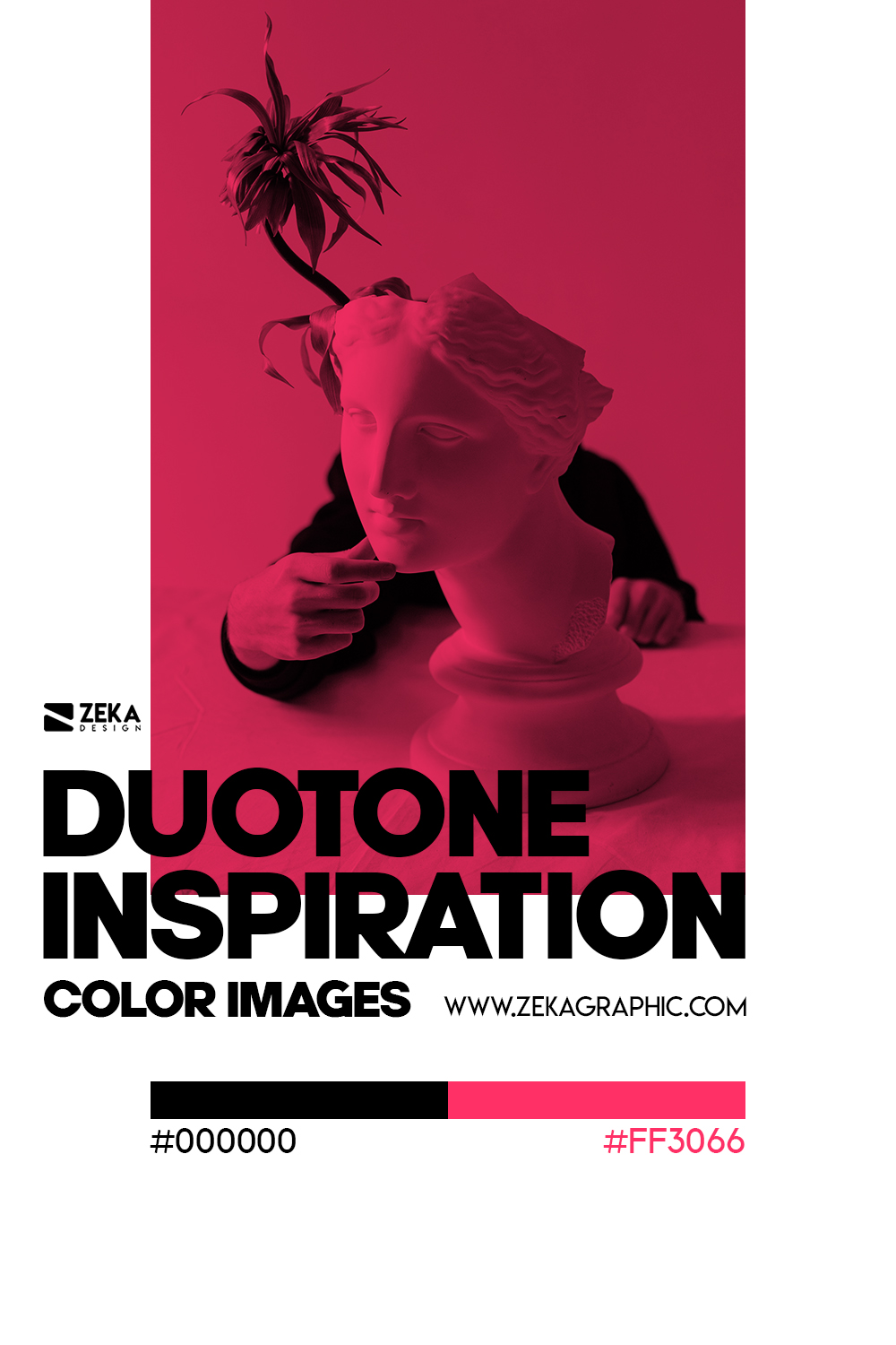 Graphic Design Color Duotone Inspiration 01