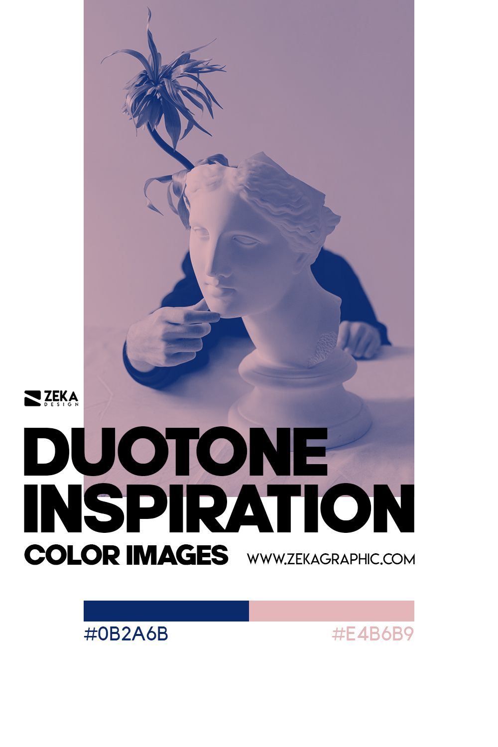 Graphic Design Color Duotone Inspiration 07