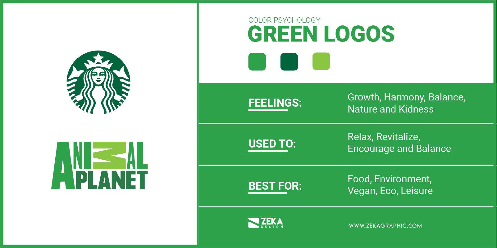 Green Logos Meaning in Graphic Design and Logo Design