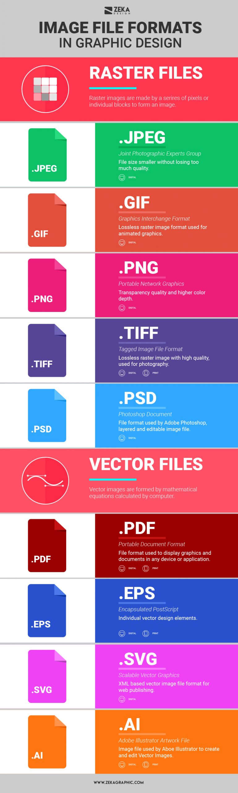 Image File Formats In Graphic Design Explained Infographic
