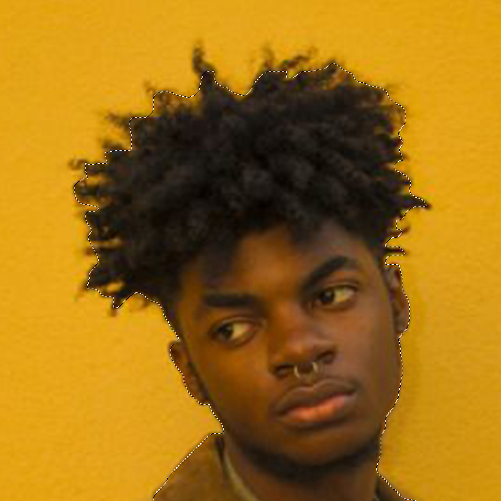 How To Cut Hair Using Quick Selection Tool on Adobe Photoshop Tutorial