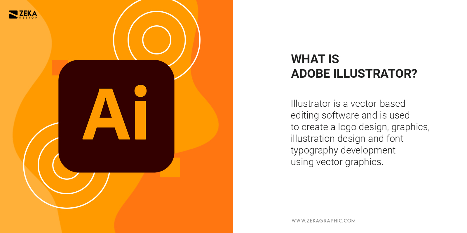 What Is Adobe Illustrator Explained and difference between photoshop