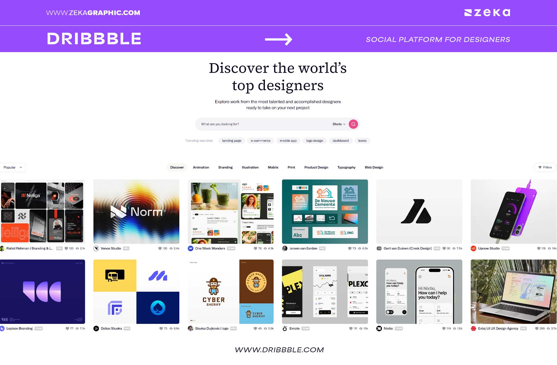 dribbble Social Platform for Designers