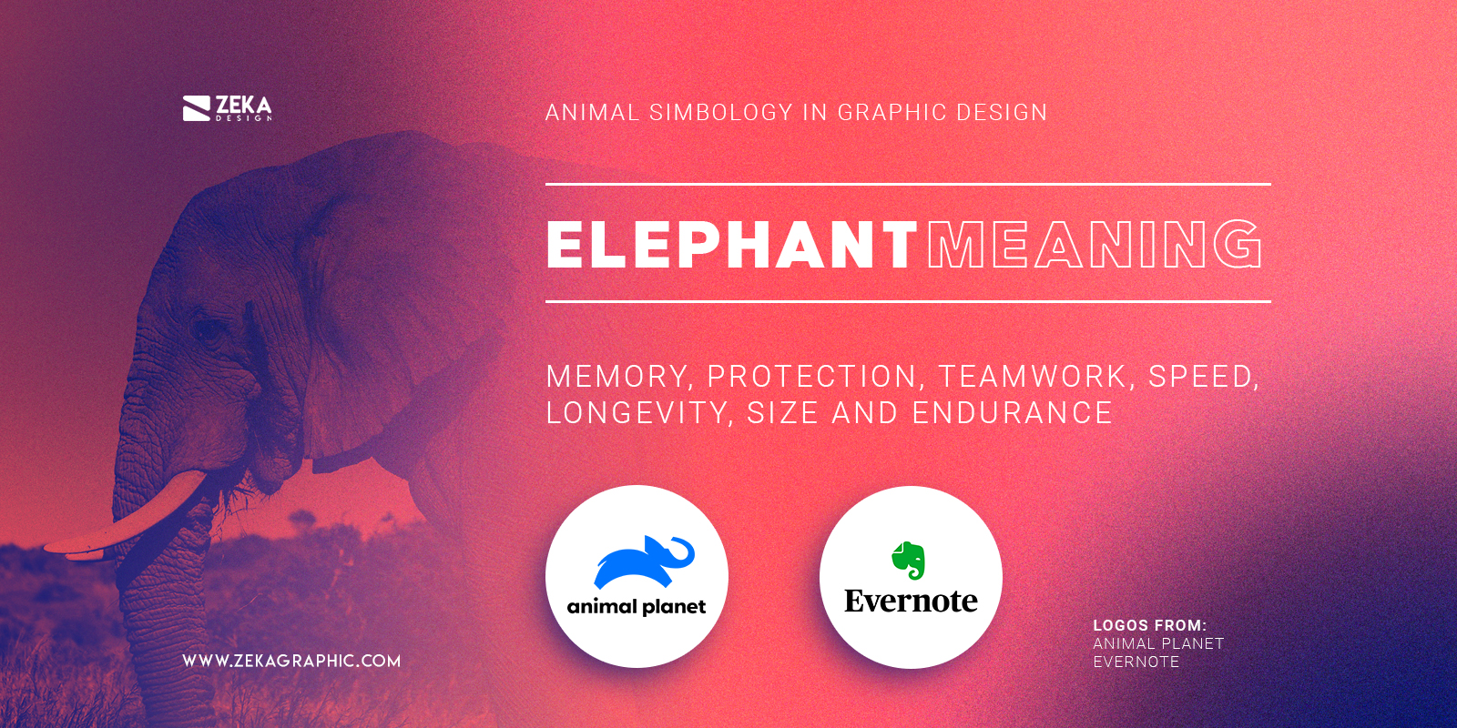 Famous Elephant Logos Meaning In Graphic Design Animal Symbology