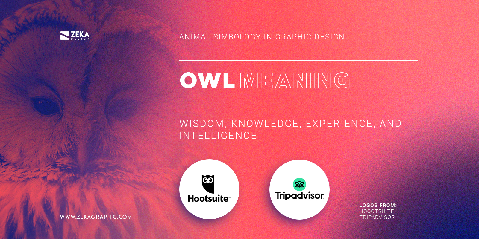 Famous Owl Logos Meaning In Graphic Design Animal Symbology