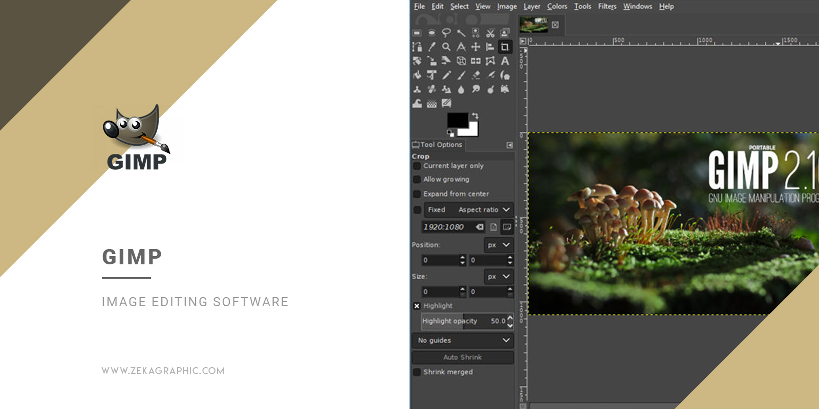 Gimp Image Editing Software for Graphic Design