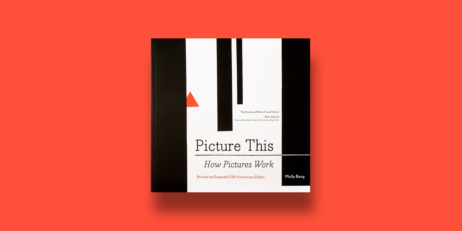 Picture This How Picture Work Best Illustration Books