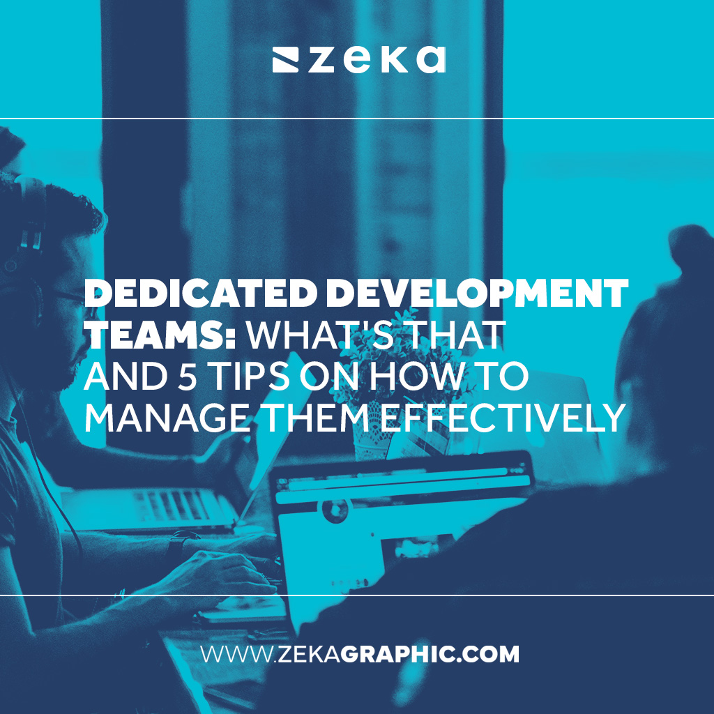 what is Dedicated development team