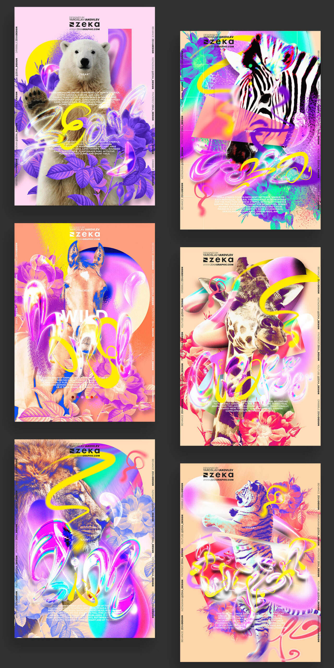 Animals Poster Design 3D Typography Graphic Design Inspiration