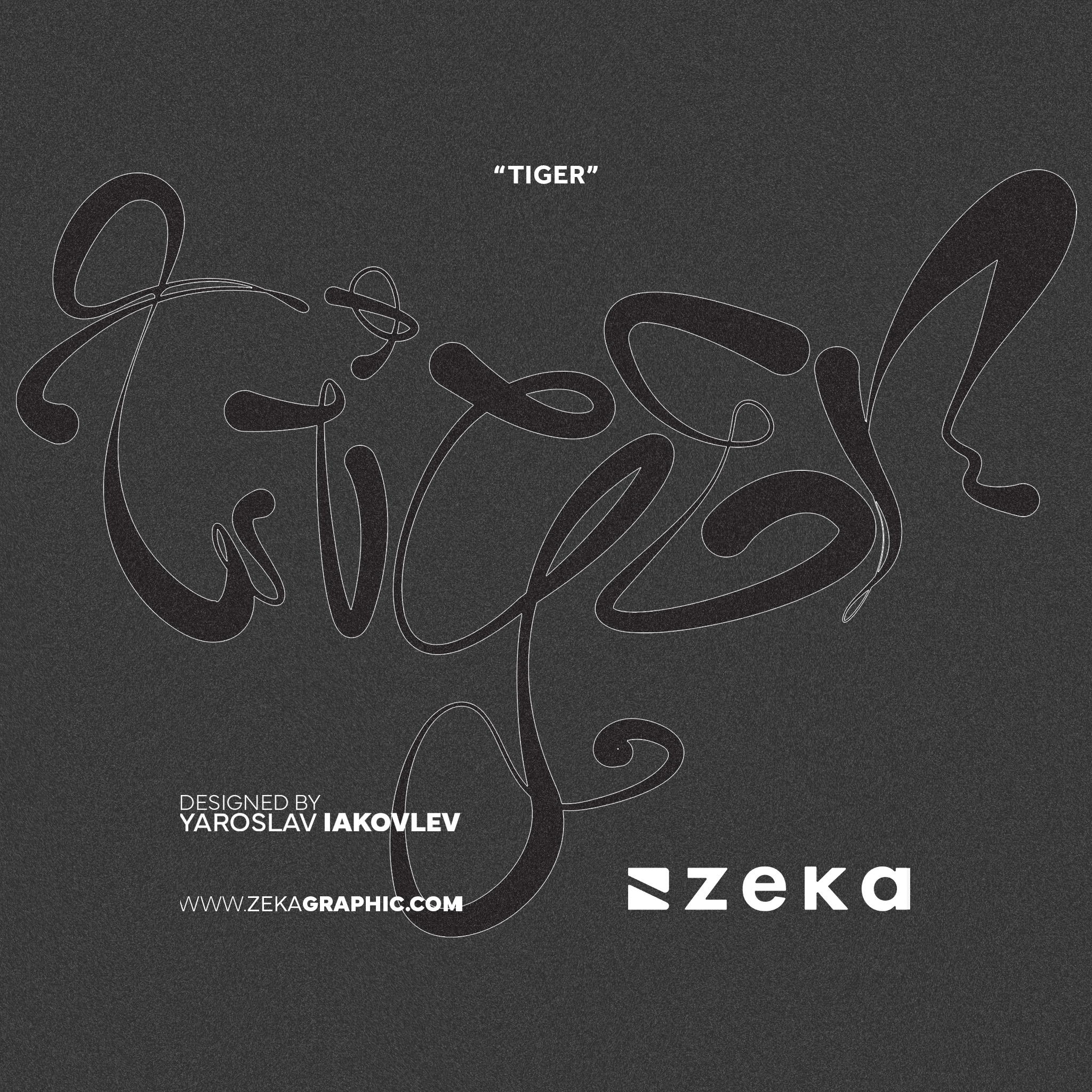 Tiger Custom Typography Design by Zeka Design Square