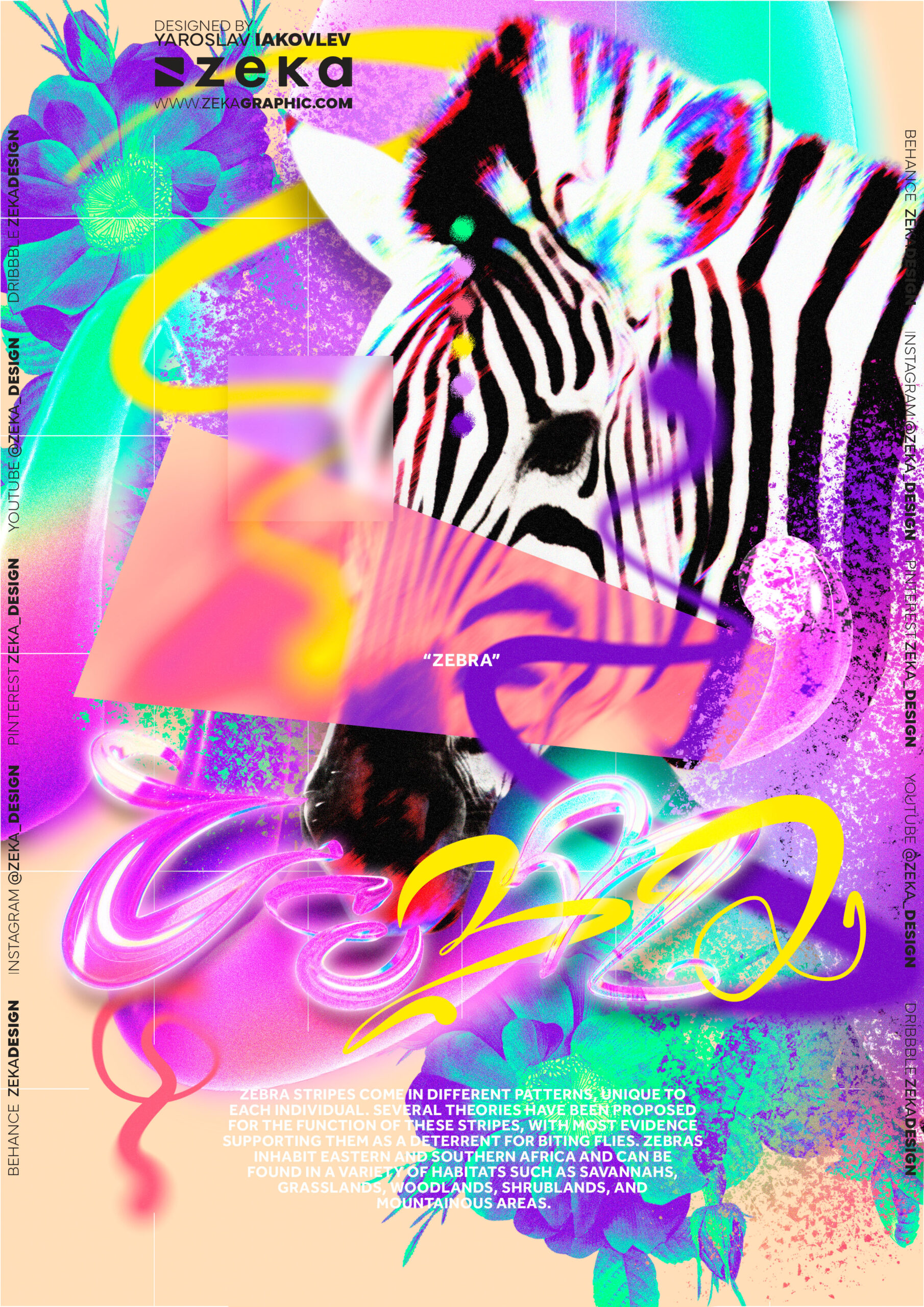 Zebra Poster Design 3D Glass Typography by Zeka Design
