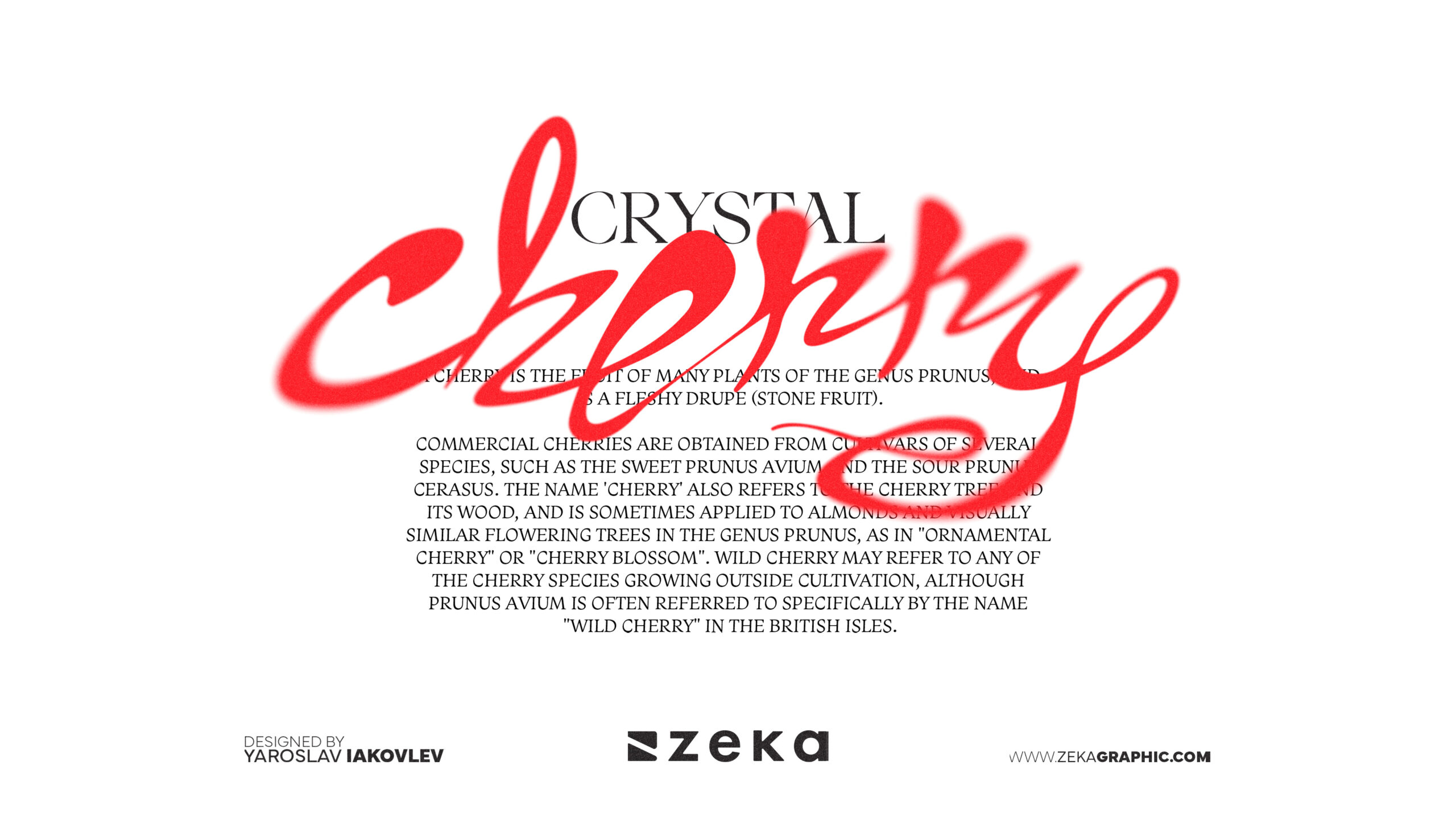 Crystal Cherry Custom Typography Design by Zeka Design