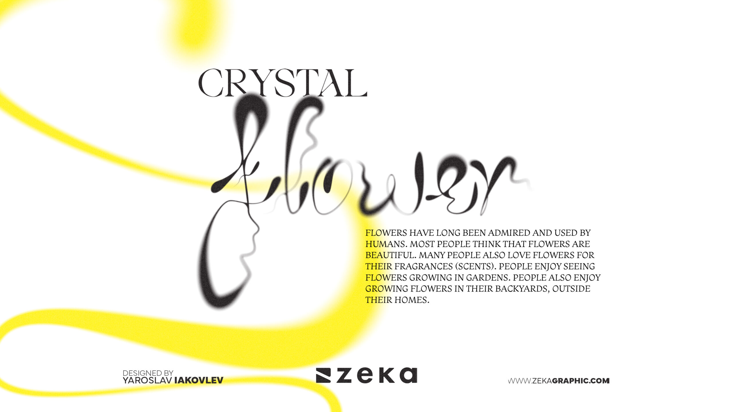 Crystal Flowers Custom Typography Design by Zeka Design