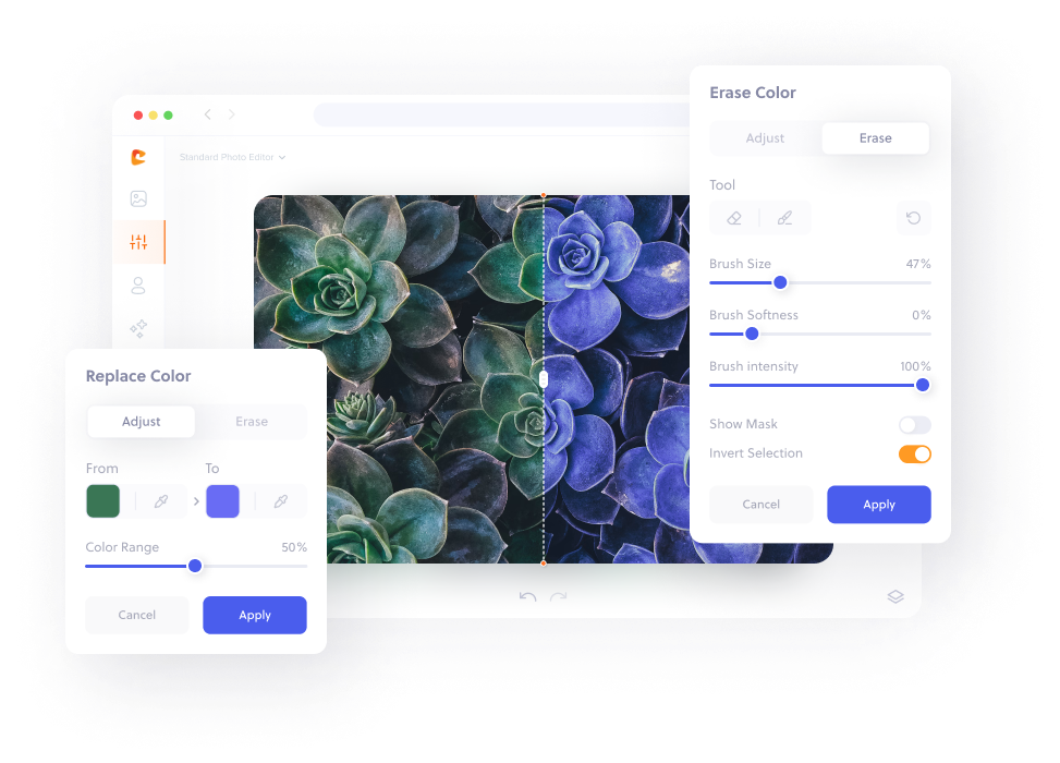 photo color changer - colorcinch