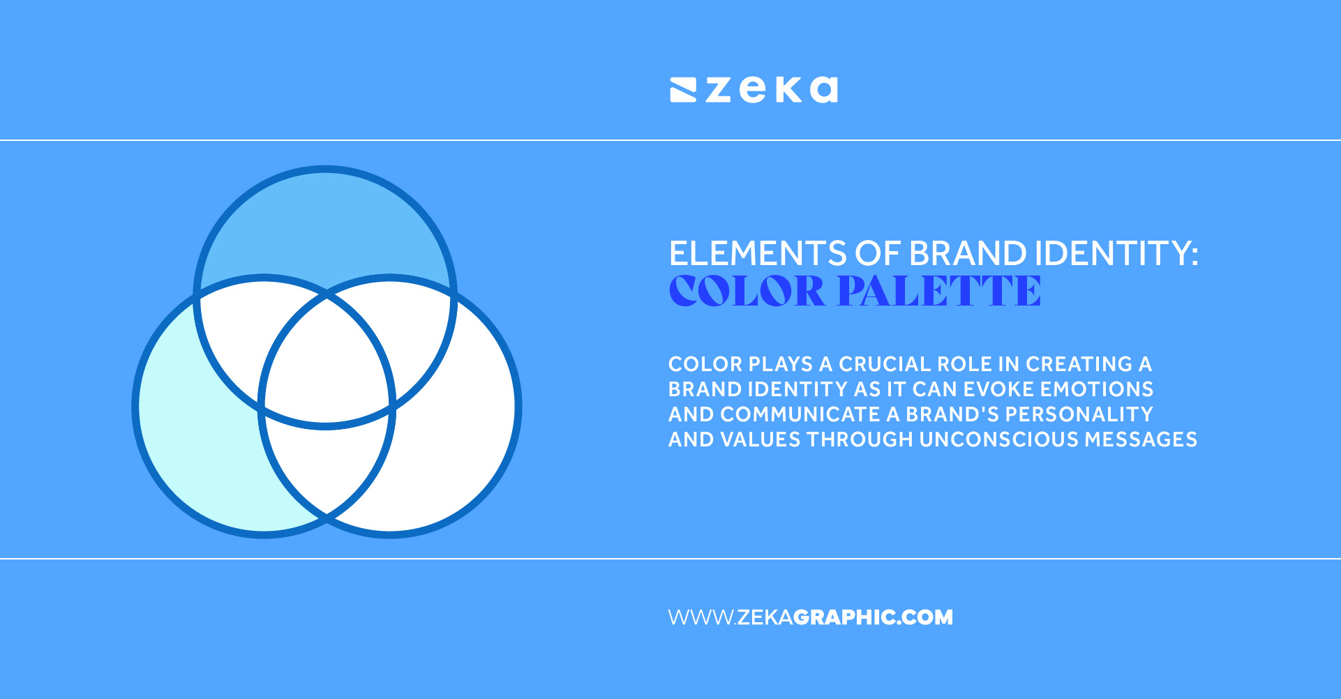 Elements of Brand Identity Brand Color Palette
