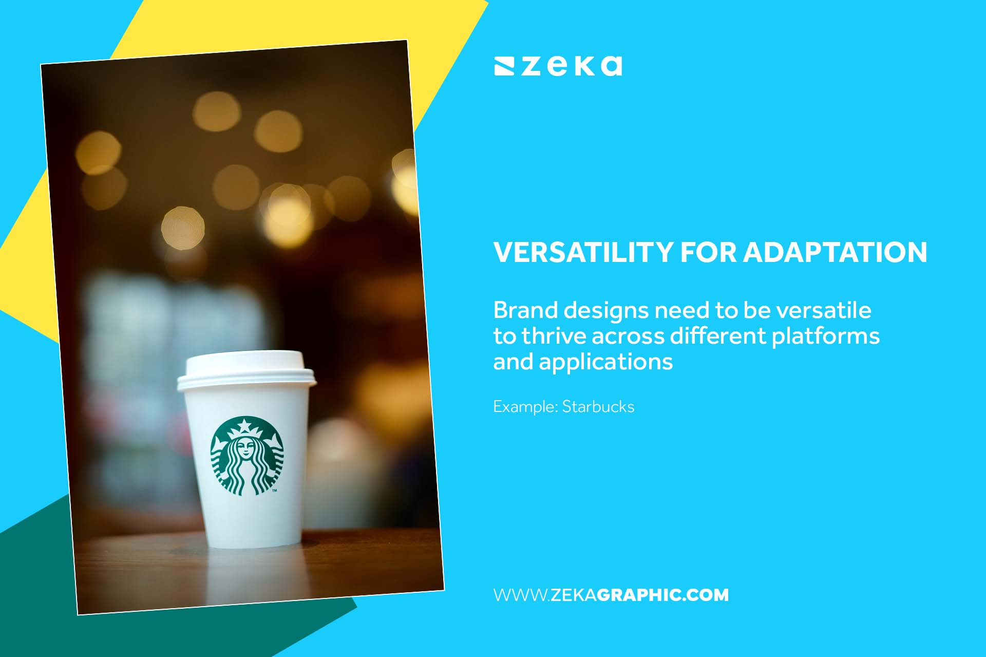 Brand Design Principles Versatility for Adaptation