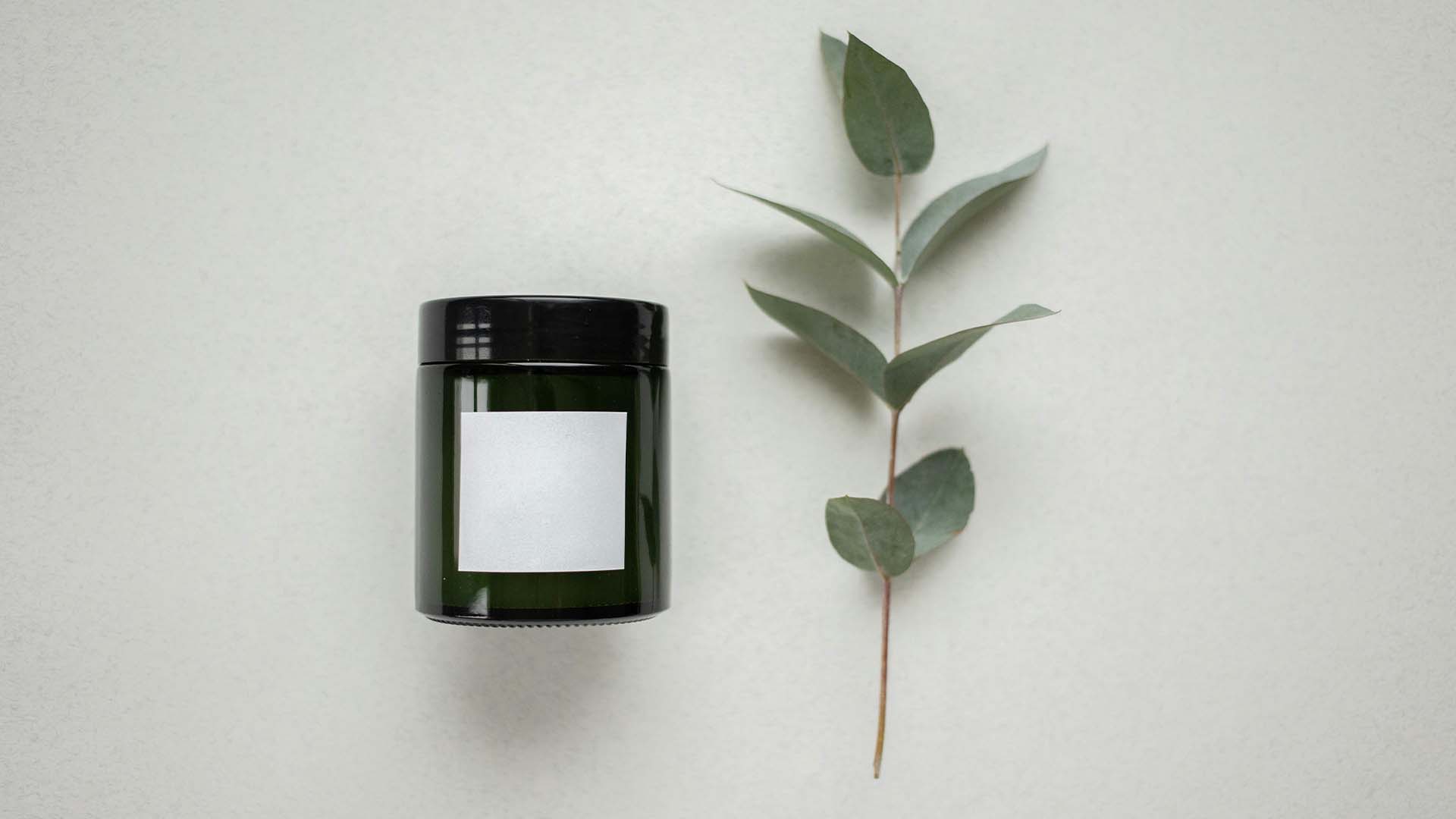 The Eye Candy Effect_ Visual Appeal Matters