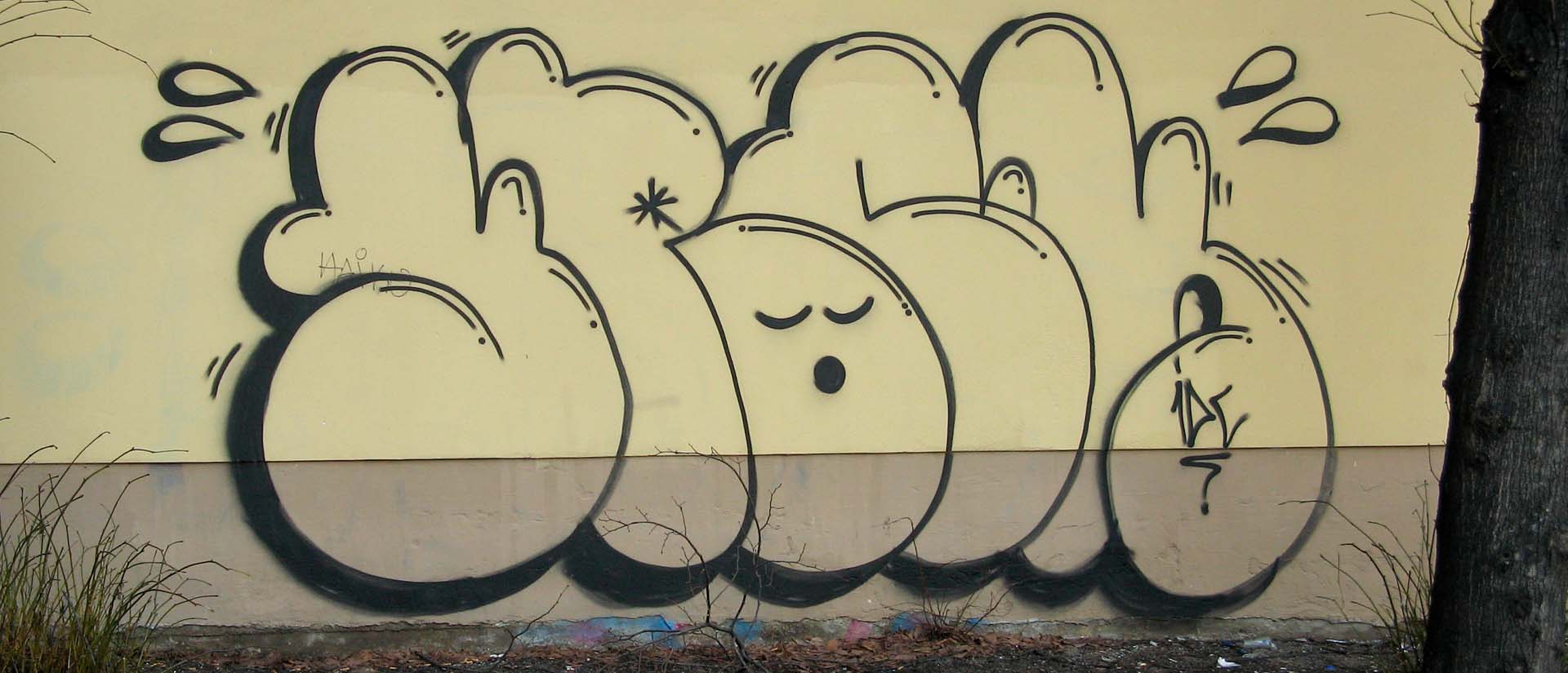 Techniques and Styles in Graffiti Art Throw-ups