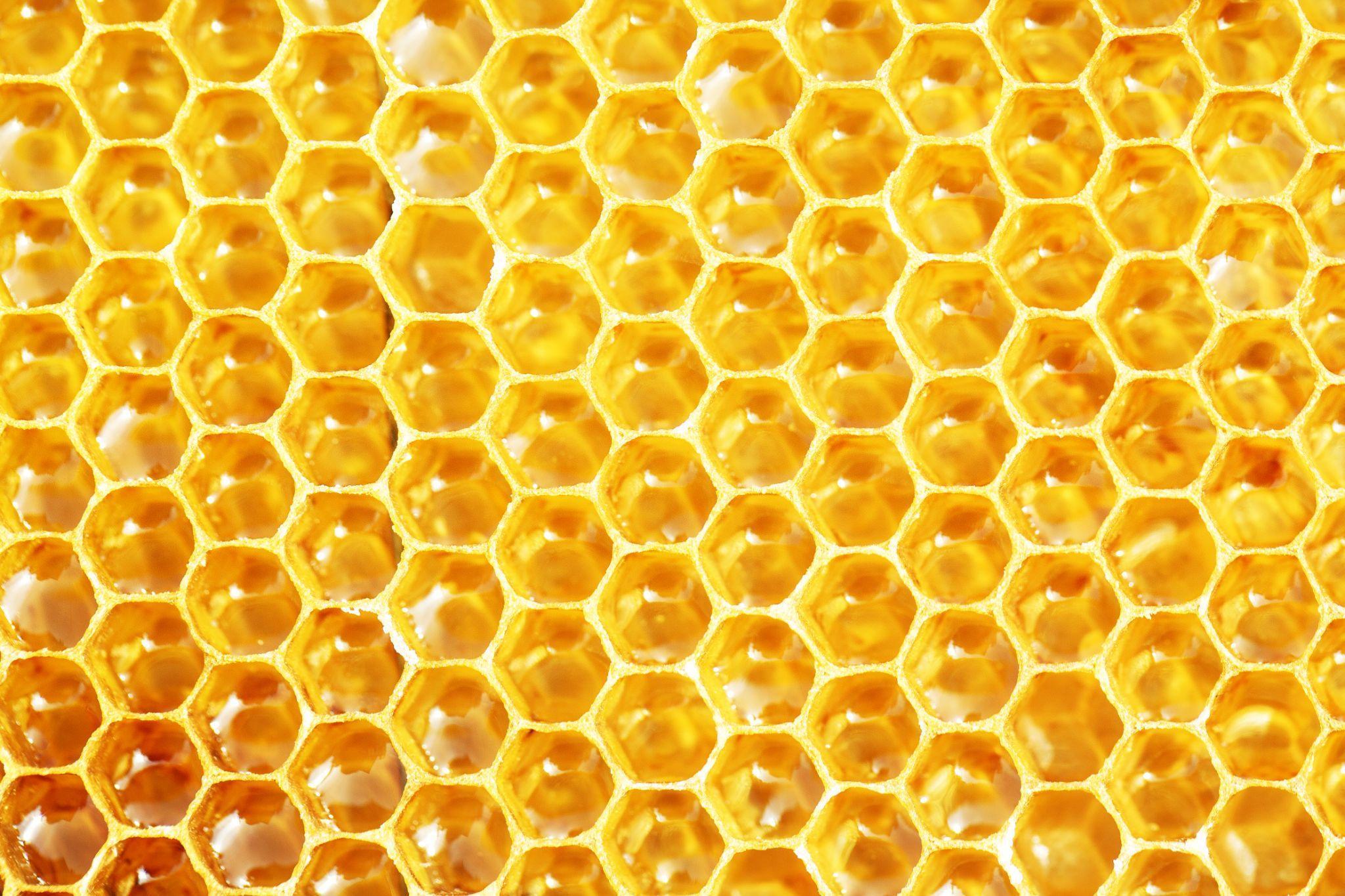 Mesmerizing textures and natural forms