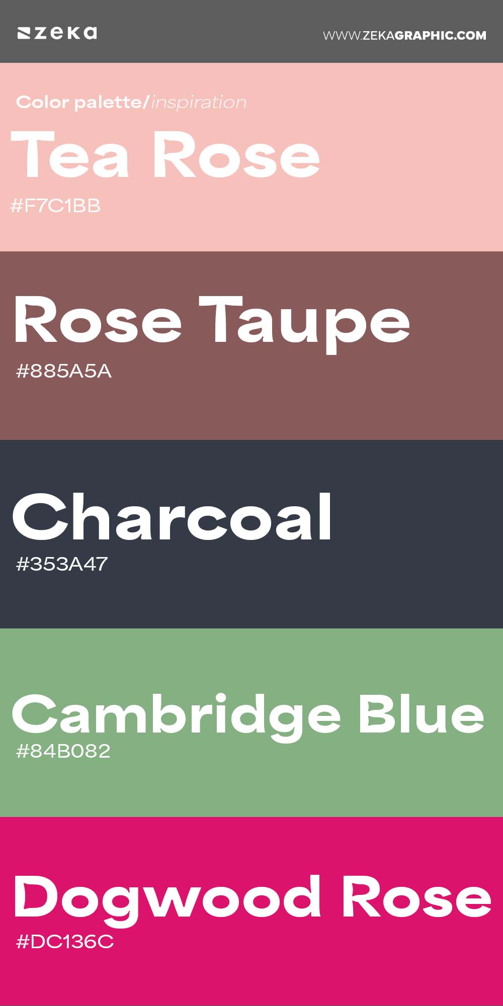 Color Palette Inspiration 11 #F7C1BB #885A5A #353A47 #84B082 #DC136C