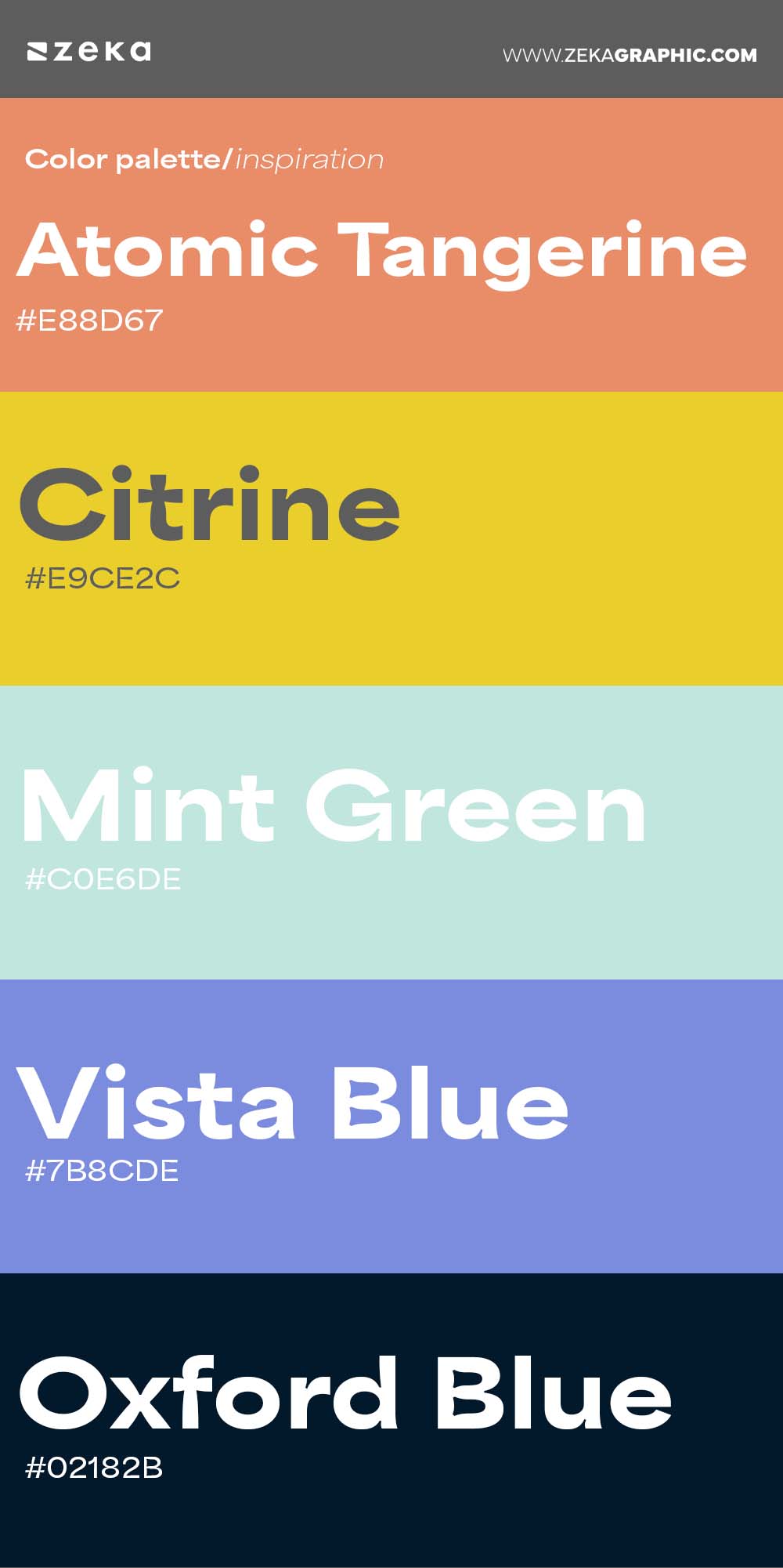 Color Palette Inspiration 16 #E88D67 #E9CE2C #C0E6DE #7B8CDE #02182B