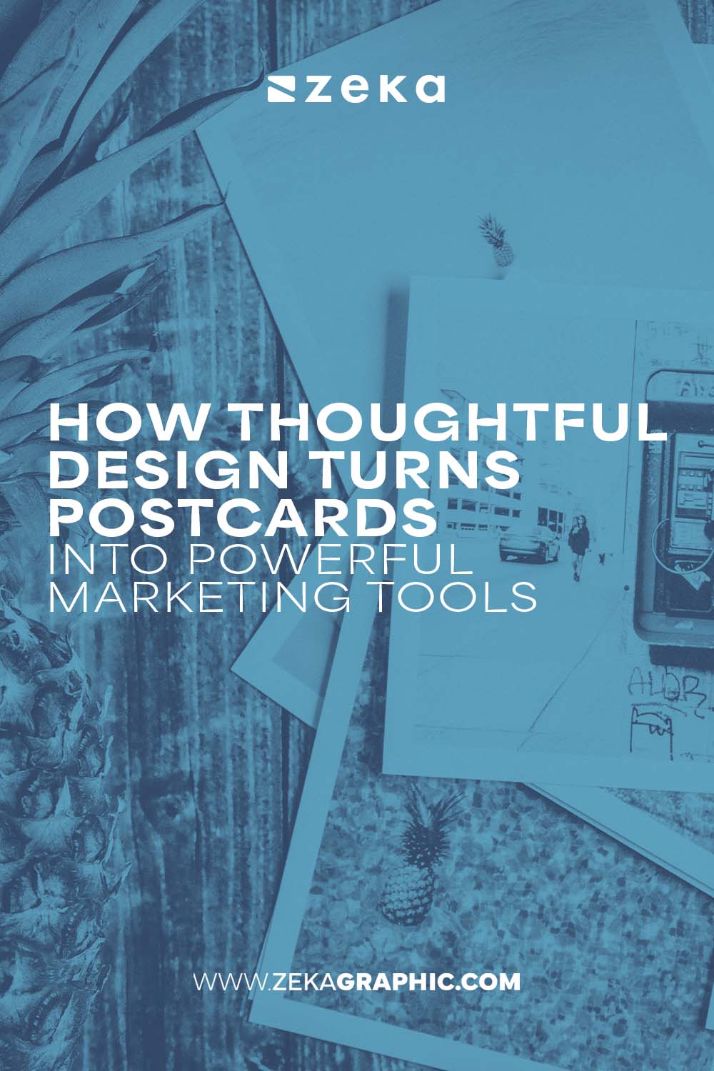 Design Turns Postcards into Powerful Marketing Tools
