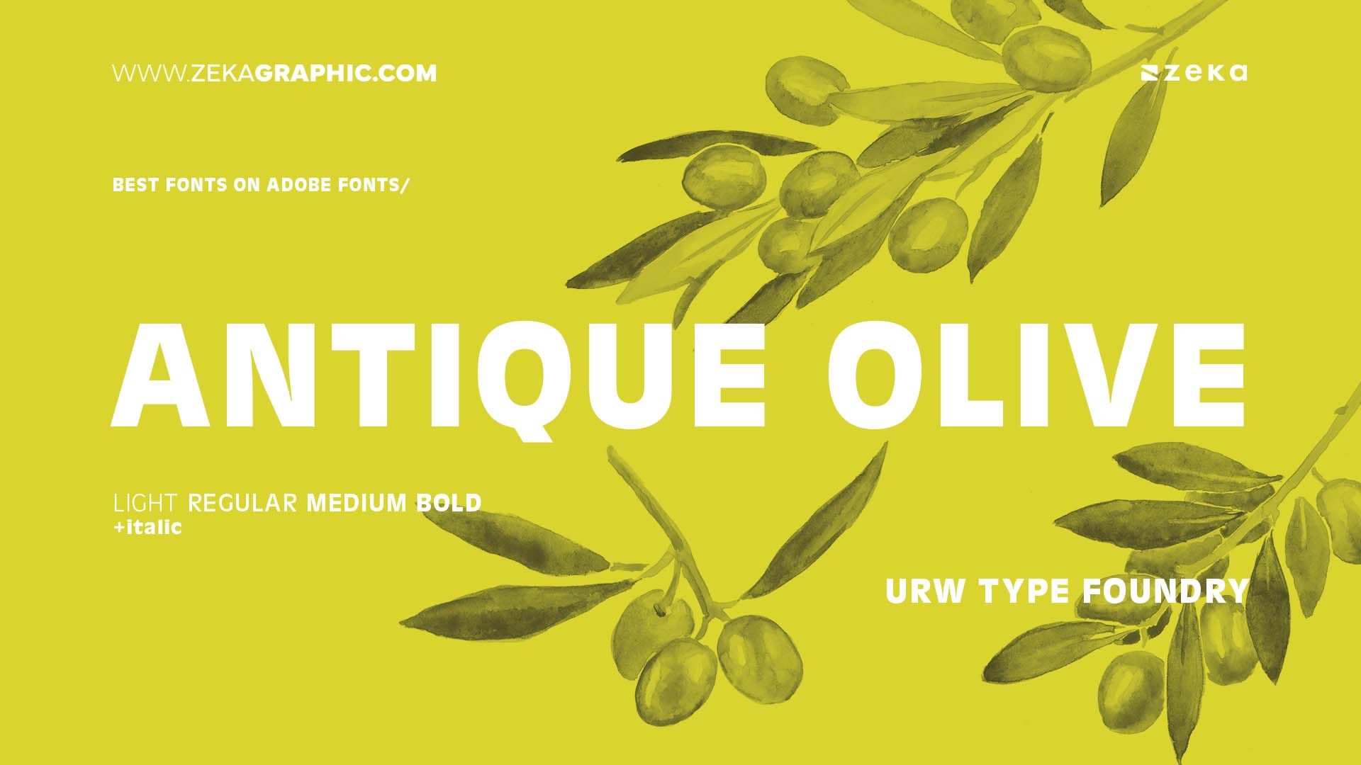 Best Adobe Fonts Antique Olive