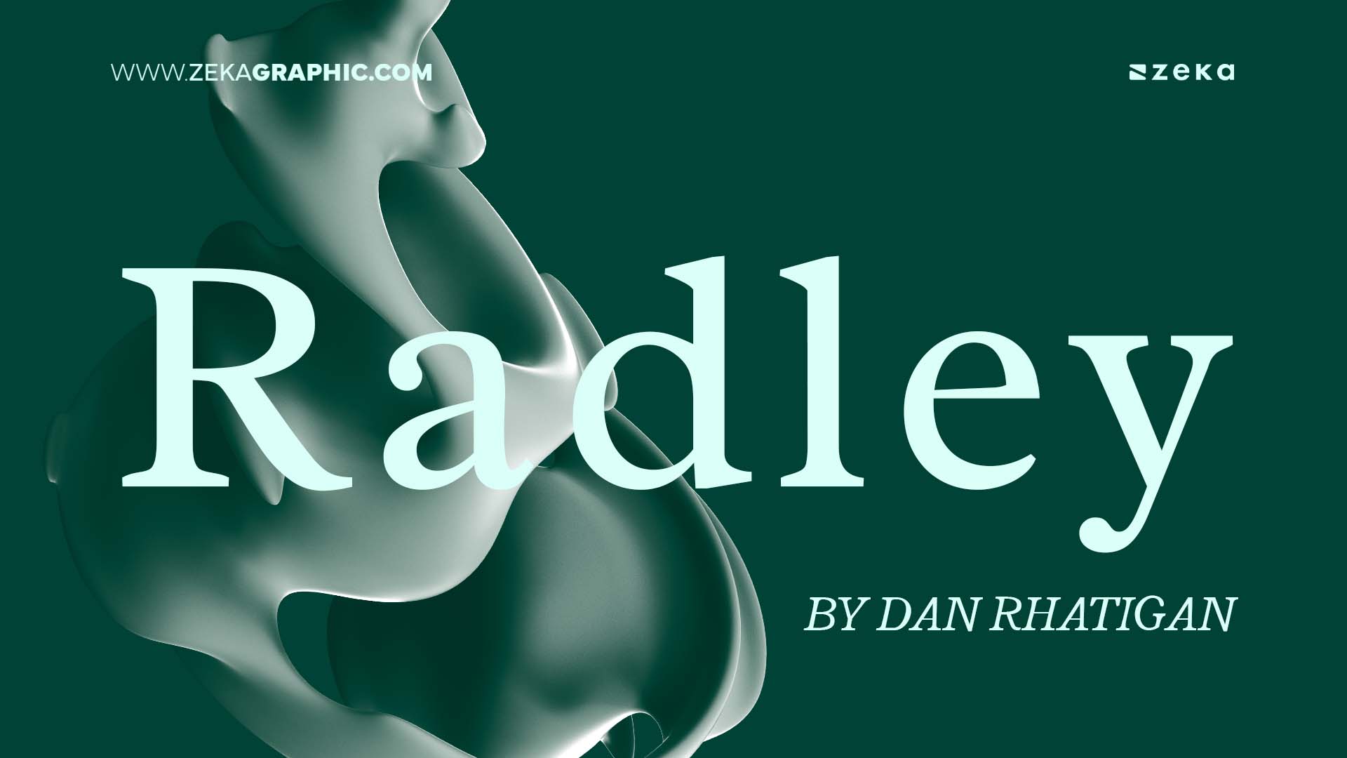 Best Google Fonts for Graphic Design Radley