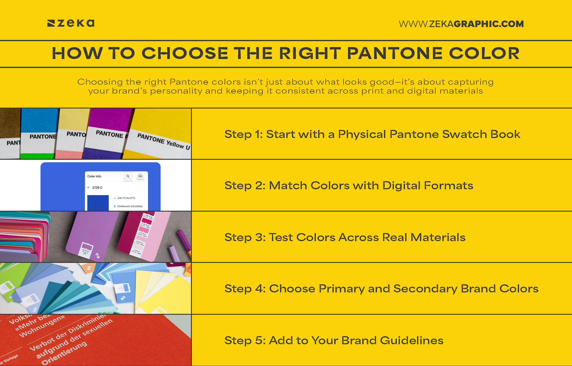 How to Choose the Right Pantone Color for Your Brand