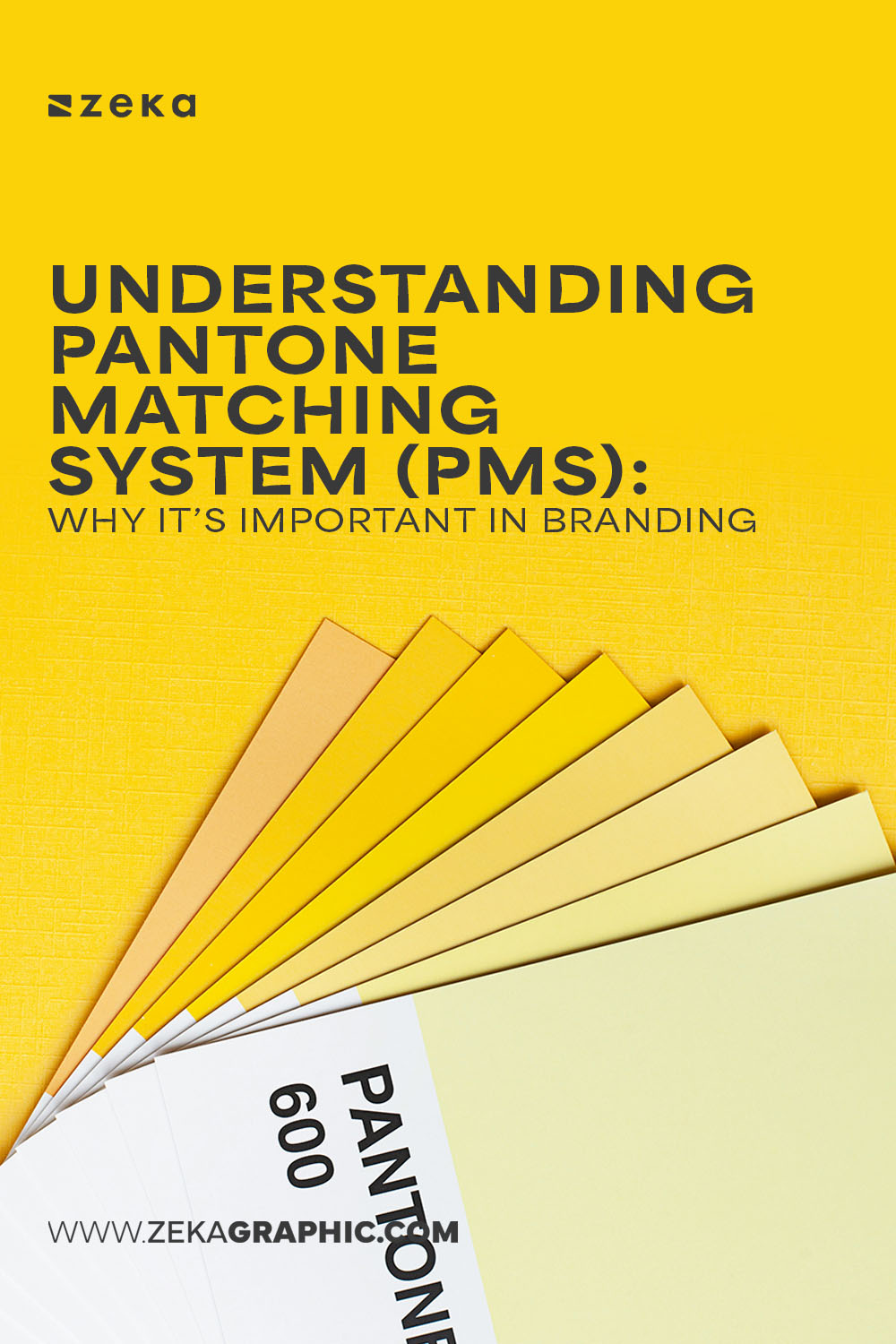 Pantone colors explained in graphic design