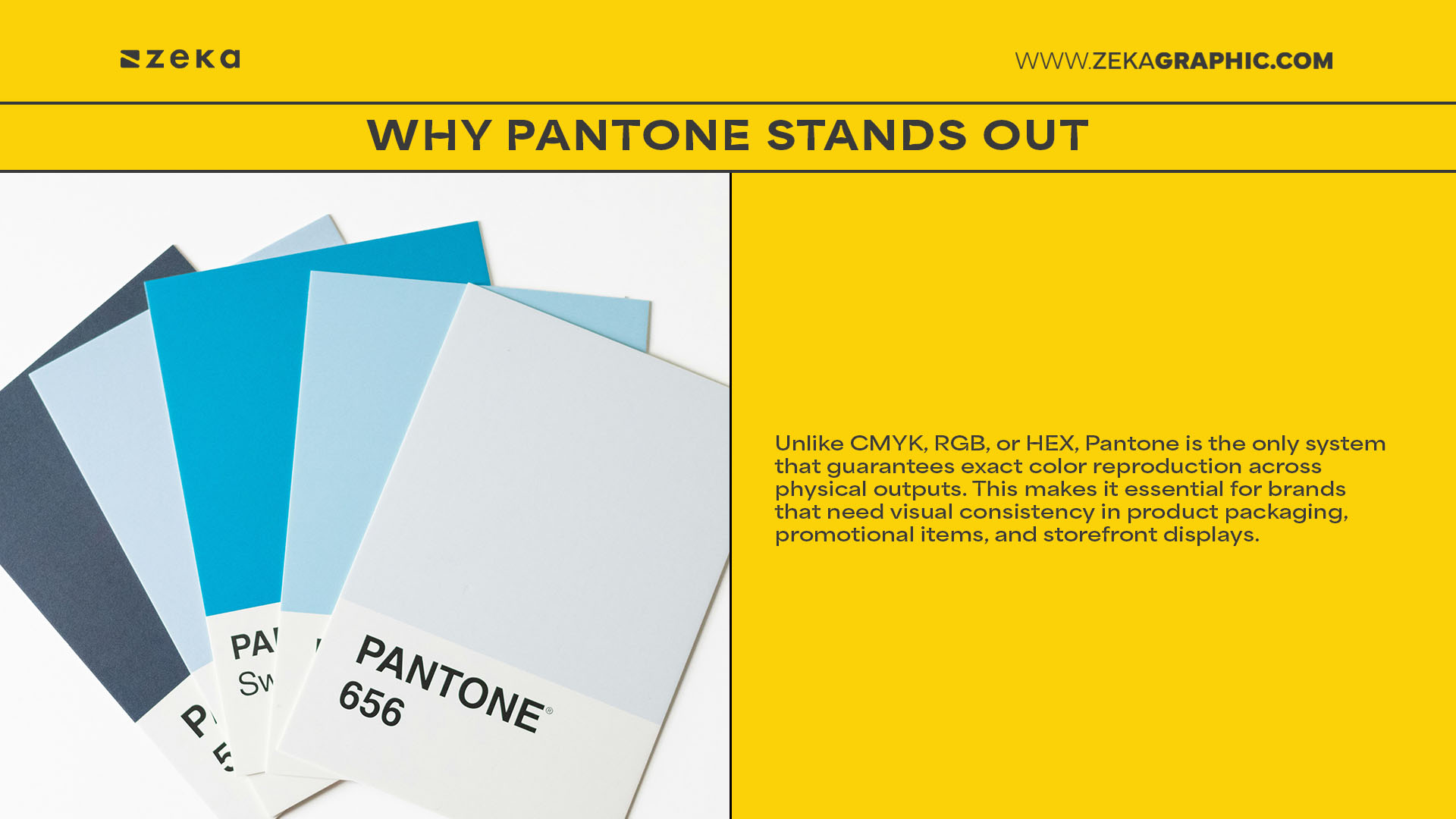Why Pantone Stands Out