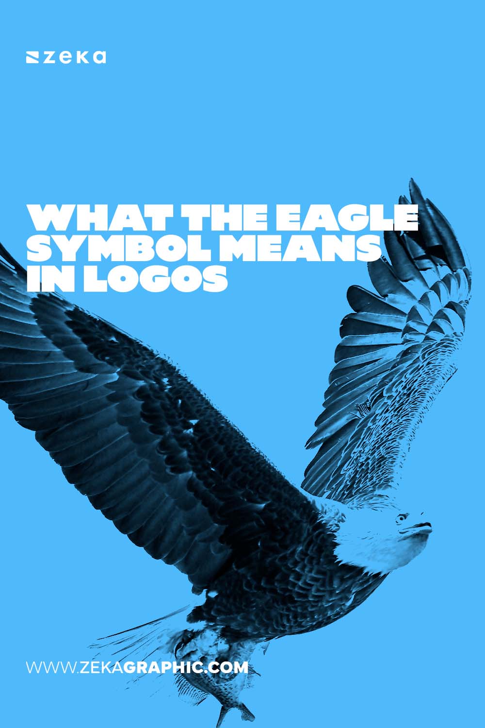 Eagle symbolism in graphic design