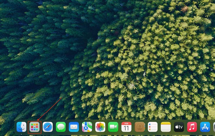 Check Activity Monitor