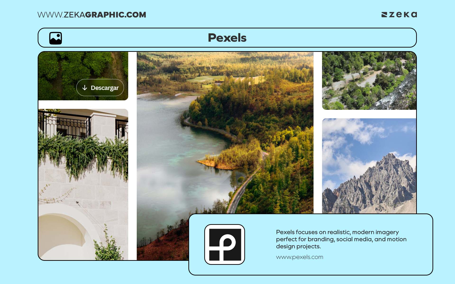 Free Stock Photos, Videos & Textures Pexels