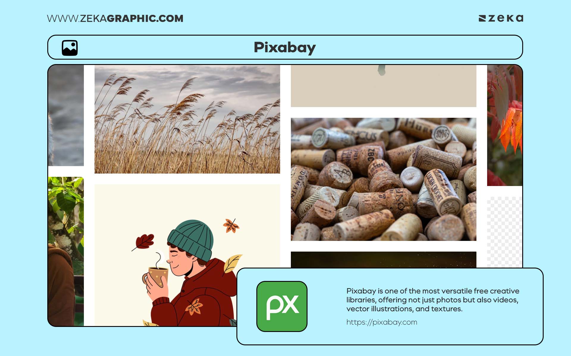 Free Stock Photos, Videos & Textures Pixabay