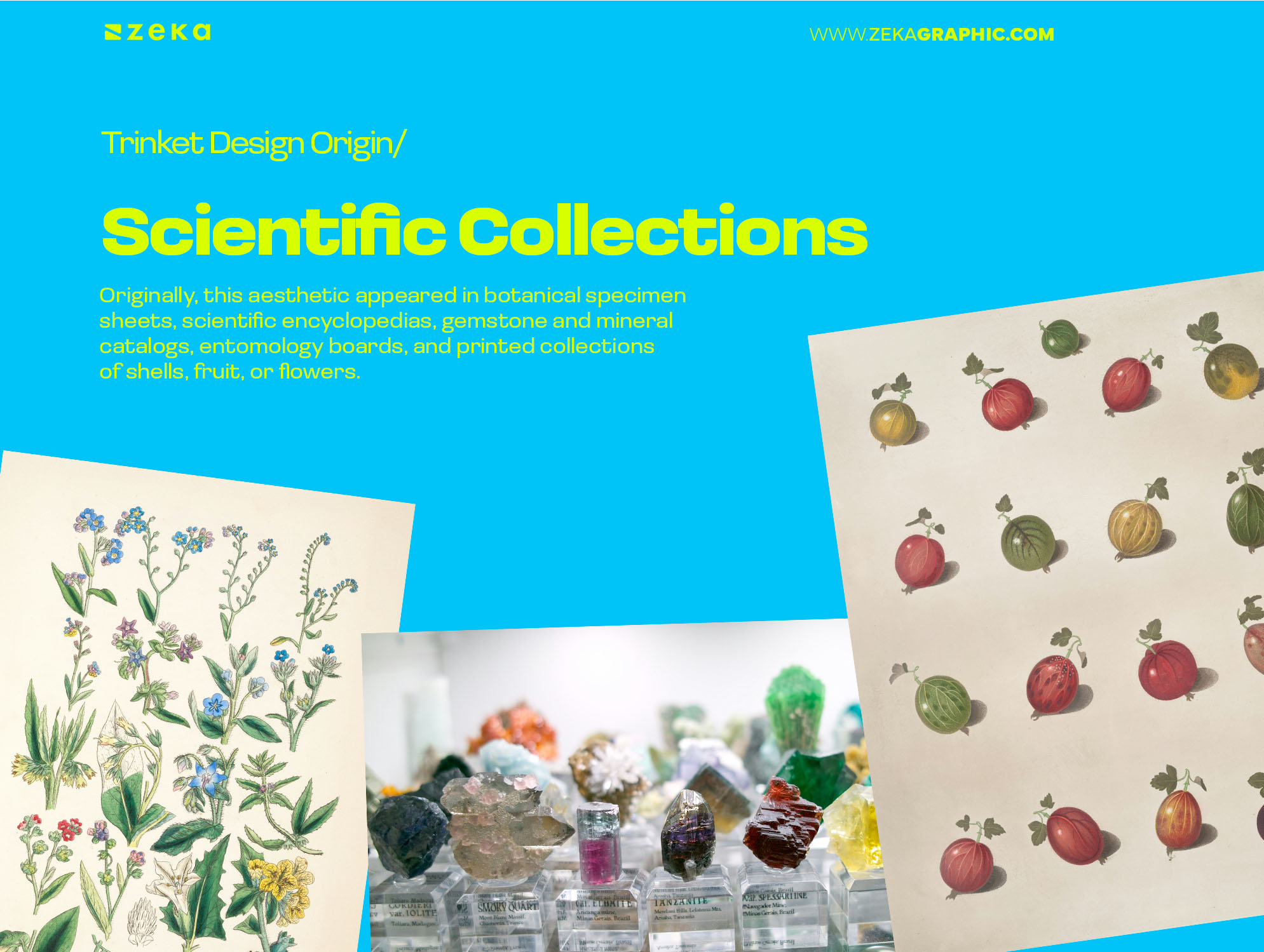 Trinket Design Origin From Scientific Collections