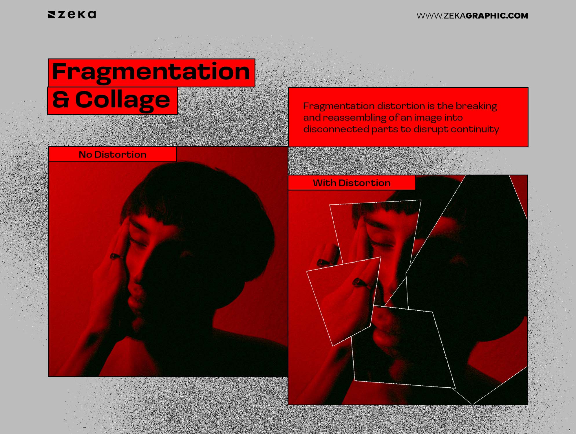 Fragmentation & Collage Distortion