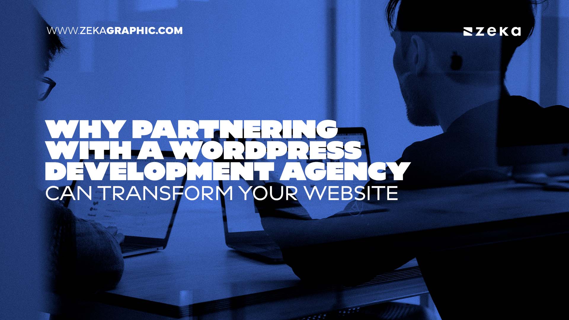 Why Partnering with a WordPress Development Agency Can Transform Your Website