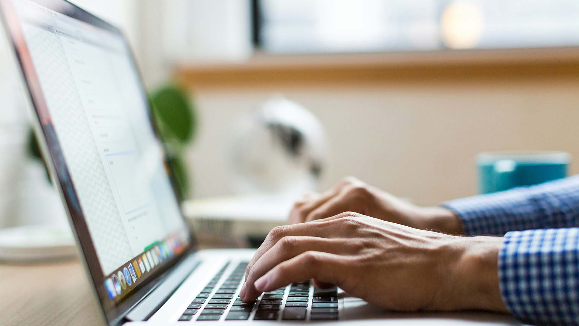 Maximizing Search Visibility During Growth