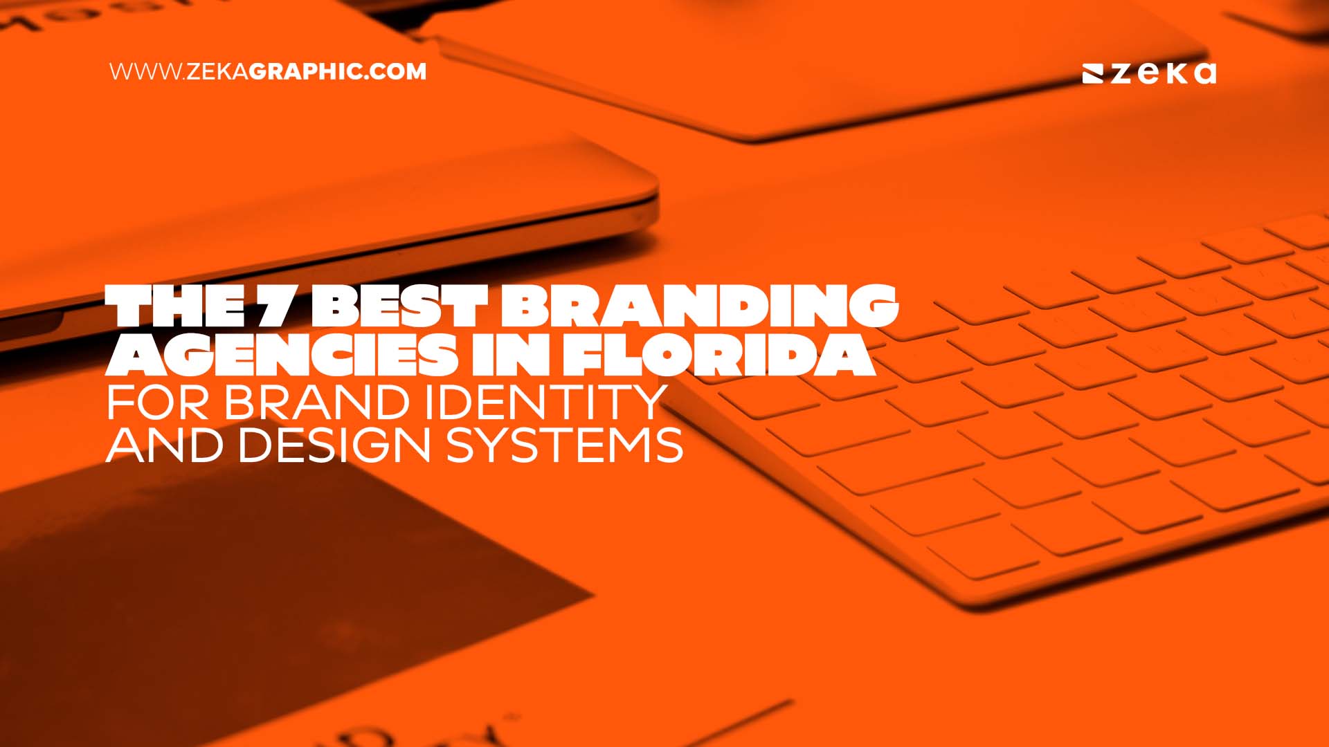 The 7 Best Branding Agencies in Florida for Brand Identity and Design Systems