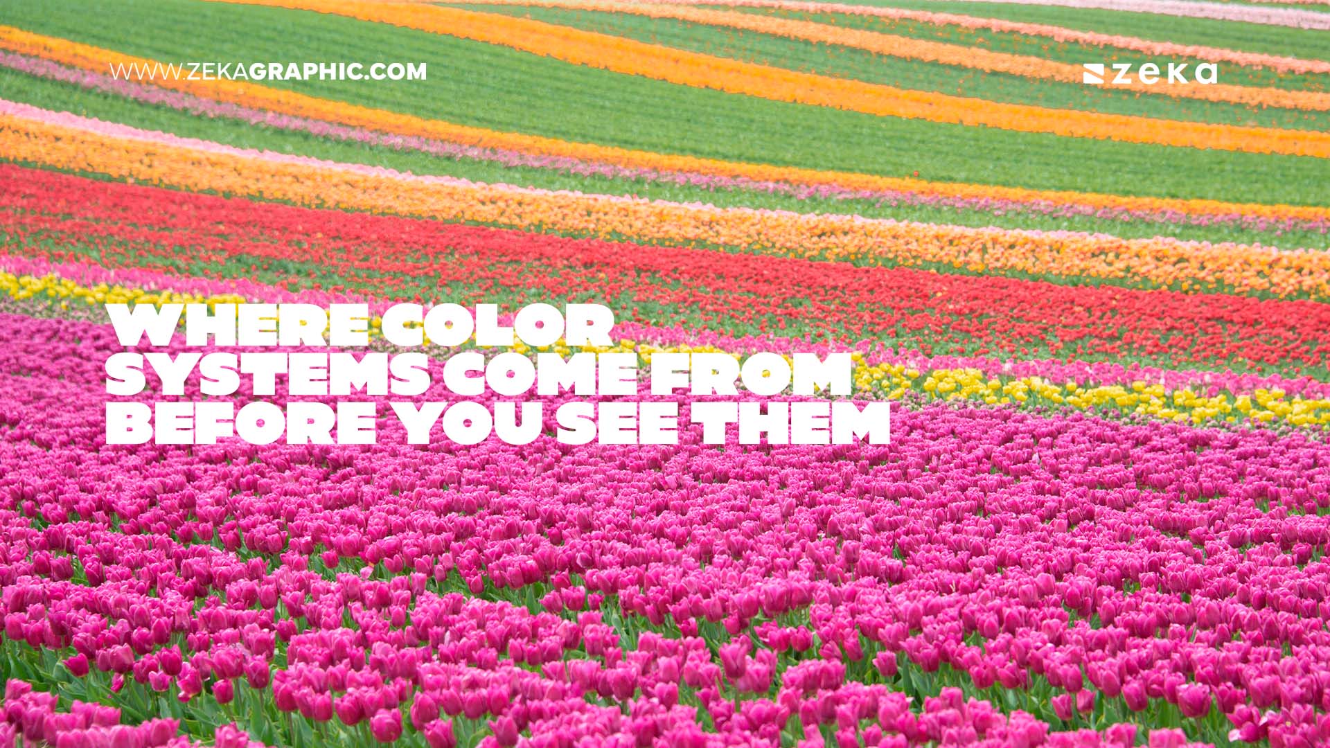 Where Color Systems Come From Before You See Them