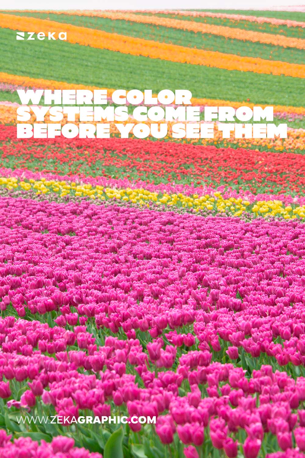 Where Color Systems Come From